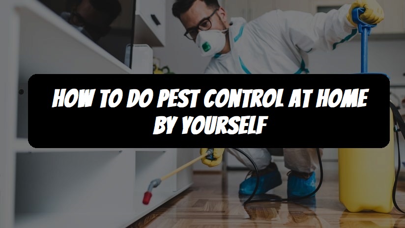 how to do pest control at home by yourself