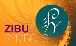 Zibu Symbol for Health Benefits